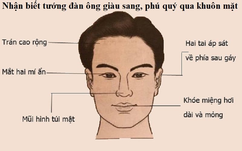 Tướng mũi đàn ông đẹp