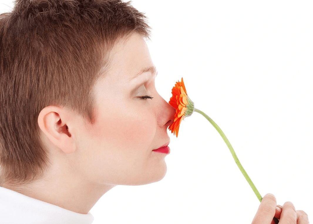 8 ý nghĩa quan trọng của vách ngăn mũi đối với sức khoẻ con người