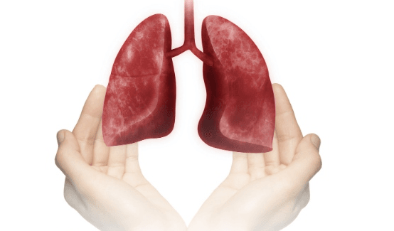 8 chức năng quan trọng của vách ngăn mũi đối với sức khoẻ con người